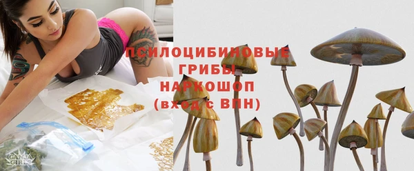 таблы Богородицк