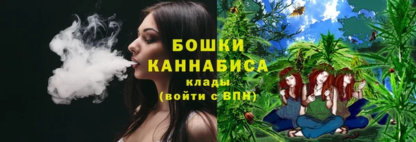 дживик Богданович